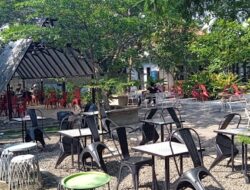 Coffee shops in South Jakarta : Toko Kopi Seduh – Jagakarsa (Forest View)